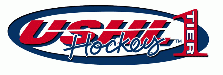 united states hockey league 2004-2011 primary logo iron on transfers for T-shirts